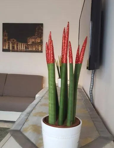 Xx Settembre - And Relax Couette-café